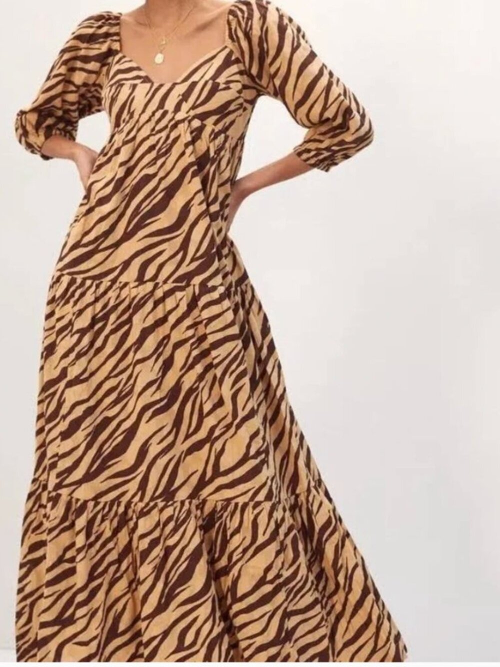 Anthropologie Zebra Print Maxi Dress - SZ S